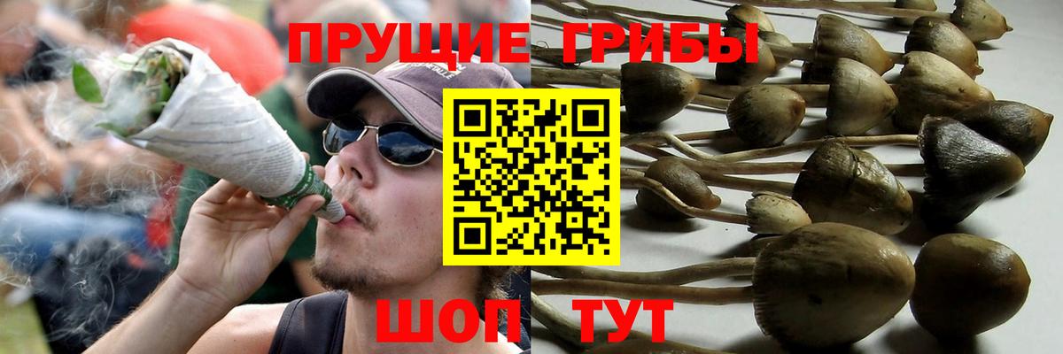 Топки  купить наркоту  Вход с VPN  Галлюциногенные грибы прущие грибы 